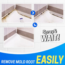 Load image into Gallery viewer, MoldOff Mildew Removal Spray
