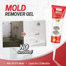 Load image into Gallery viewer, Mold Remover Gel
