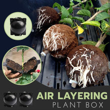 Load image into Gallery viewer, Air Layering Plant Boxes (3PCS)
